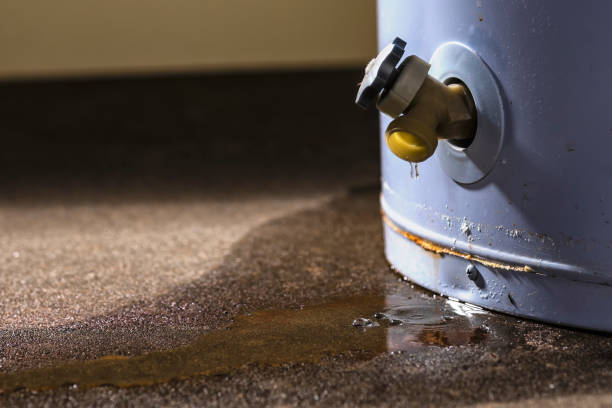 Best Fire Damage Restoration  in Upper Grand Lagoon, FL