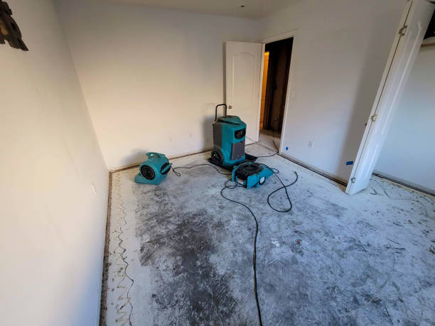 Best Flood restoration services  in Upper Grand Lagoon, FL
