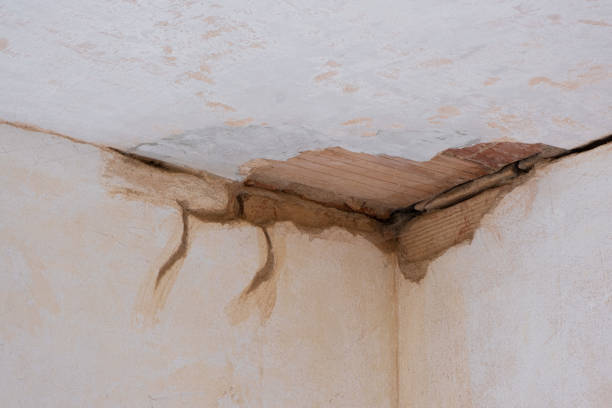 Best Ceiling water damage repair  in Upper Grand Lagoon, FL