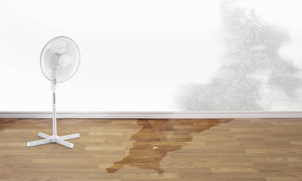 Best 24-hour water damage restoration  in Upper Grand Lagoon, FL