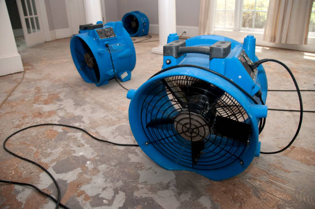 Best Water damage contractors near me  in Upper Grand Lagoon, FL