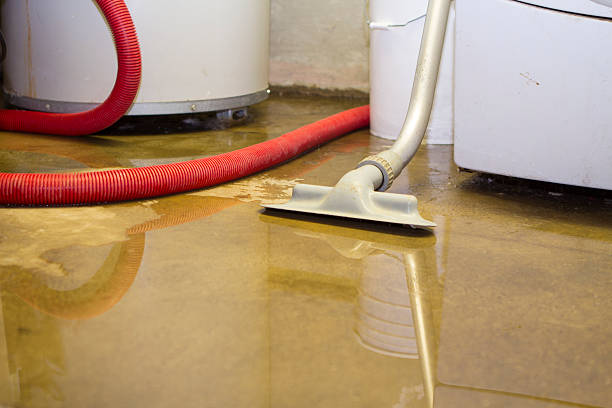 Best Mold removal after water damage  in Upper Grand Lagoon, FL