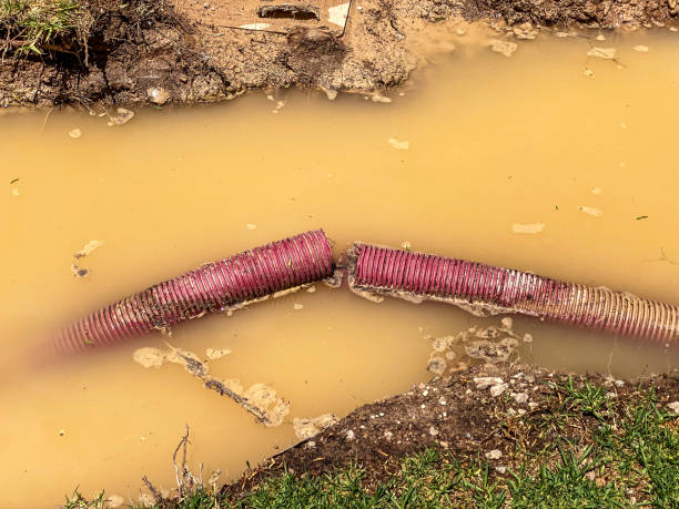 Best Basement water damage restoration  in Upper Grand Lagoon, FL