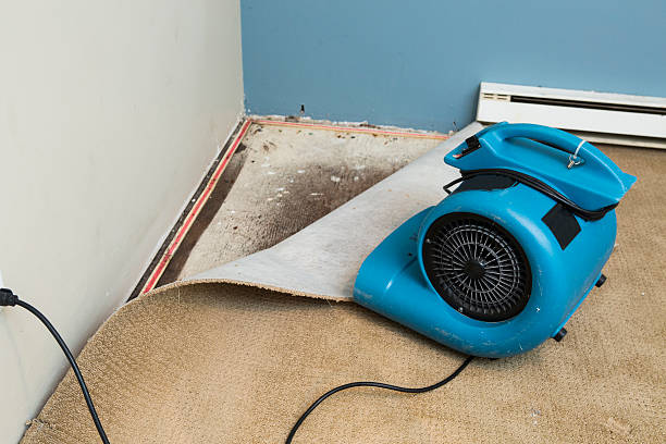 Best Carpet water damage restoration  in Upper Grand Lagoon, FL